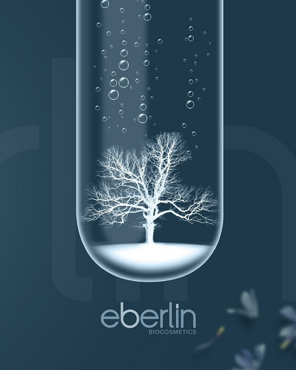 Los 10 mejores principios activos naturales para tener una piel Eberlin